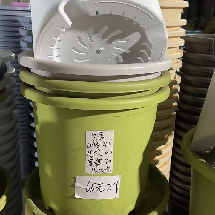 微瑕9#口径46无托果绿3个