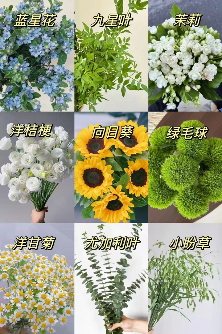 【配草大全】同一地址任意两单发顺丰/德邦空运+送10包保鲜剂