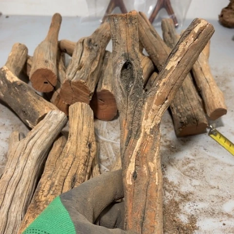 大果紫檀（缅甸花梨）临****）