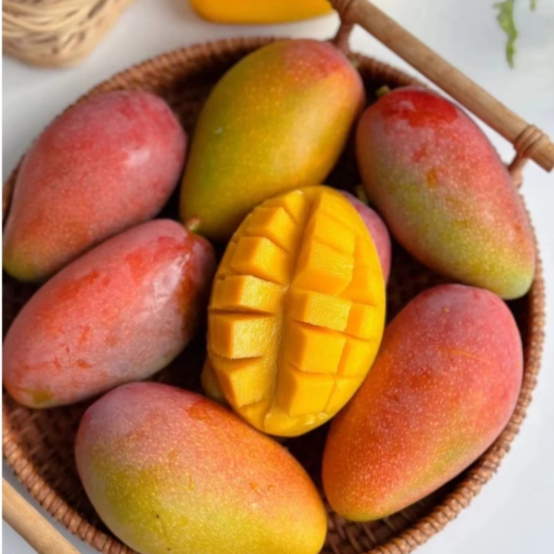 Z海南贵妃芒芒果新鲜水果大果当季整箱树上熟水果现摘芒果整箱