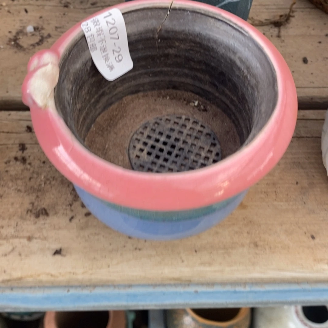 29号多肉盆口径9窑裂