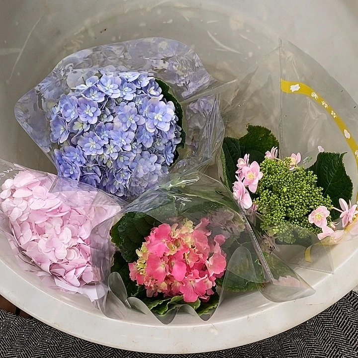 25号4支绣球/拍下包邮