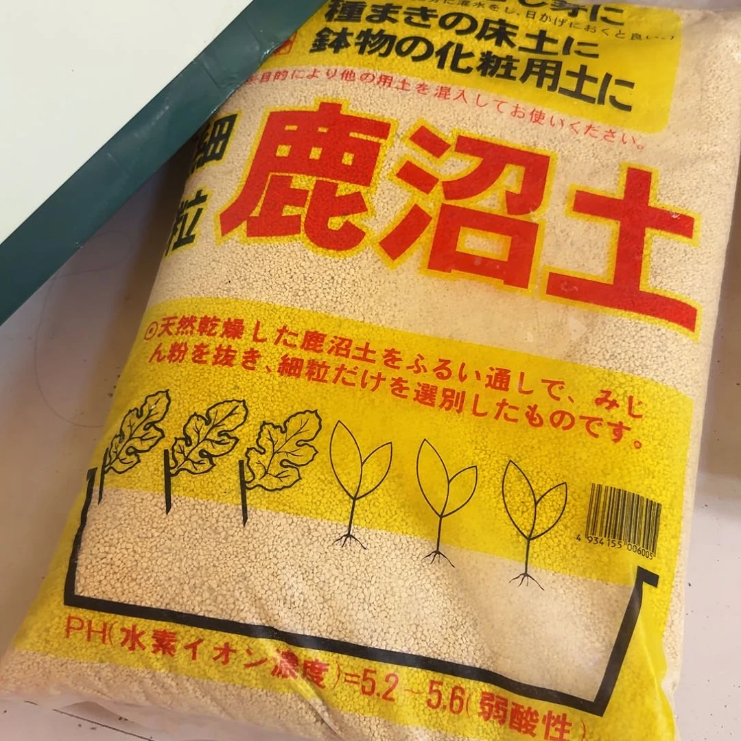 鹿沼土1—3一袋包邮