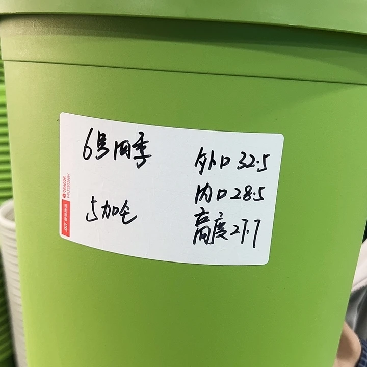 特价6号四季口32高28果绿色无托7支