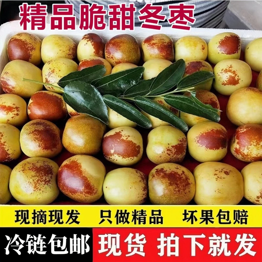 【现货包邮】脆甜沾化冬枣冰糖冬枣爆甜多汁冬枣新鲜水果3/5斤