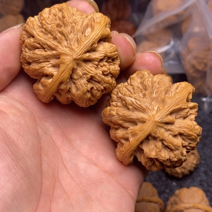 文玩核桃吊坠49大粗筋