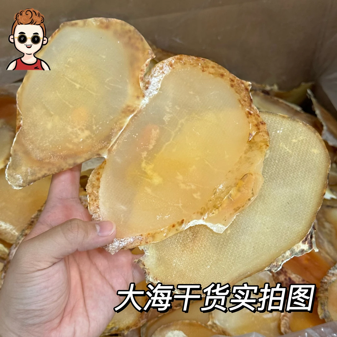 现收靓黄油螺-响螺片煲汤鲜美