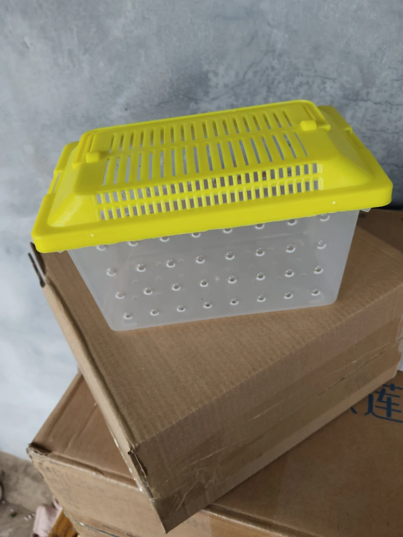 仓鼠透气运输塑料盒