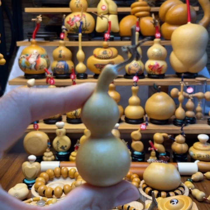 依**子天然葫芦自然生长依