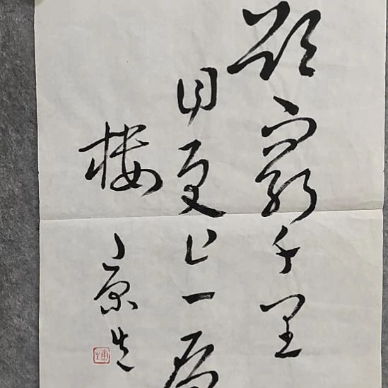 国画康老师书法作品软片