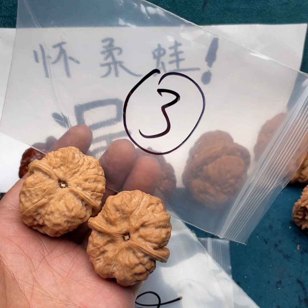 核桃357375375375357573573