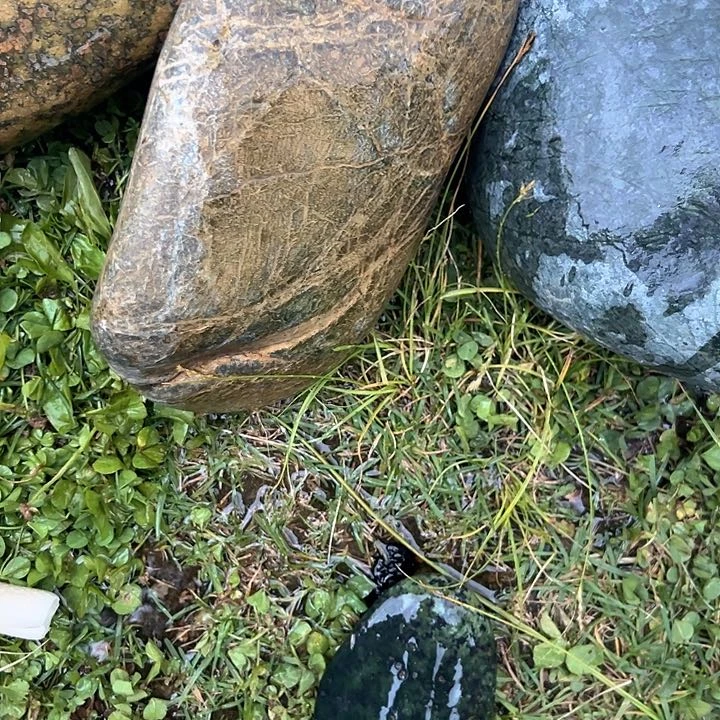 龙***团蛇纹石玉未镶嵌西藏藏玉药王石