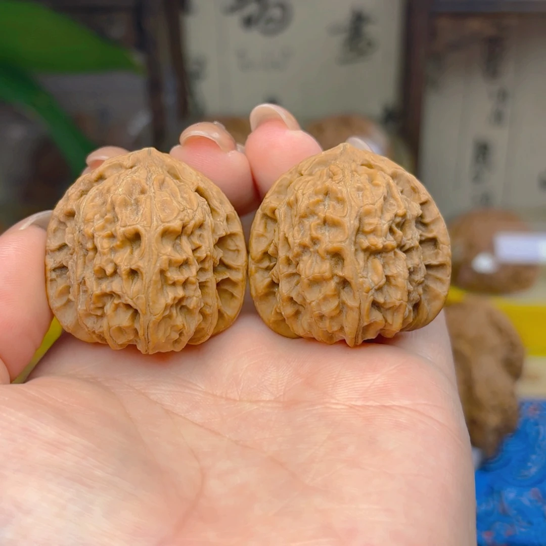 白狮子头三十五尺