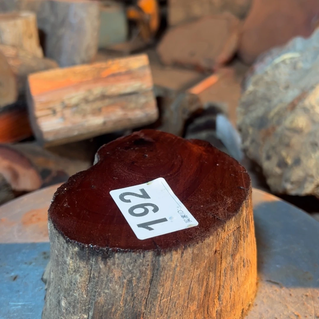 大果紫檀（缅甸花梨）