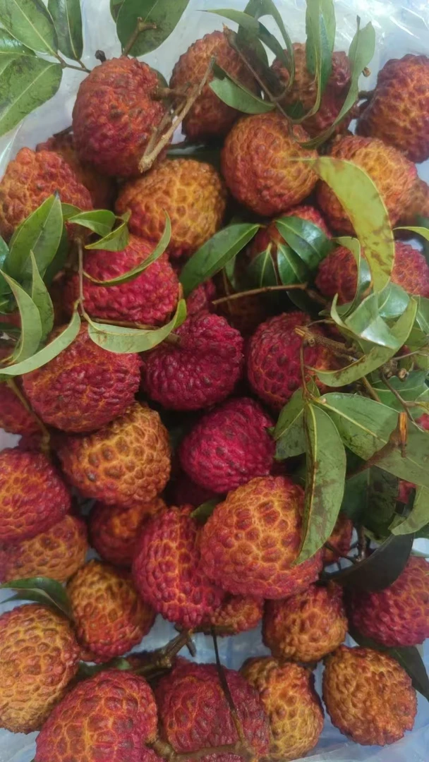 【全疆包邮】海南荔枝王火山口荔枝当季新鲜大荔枝最后一波特价