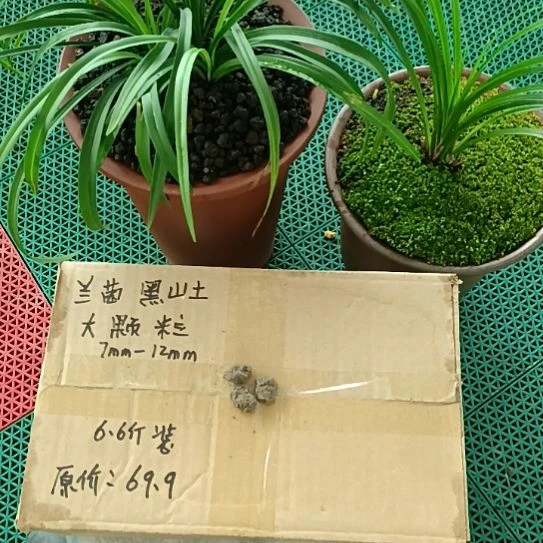 涅***虫兰菌颗粒大颗粒6.6斤