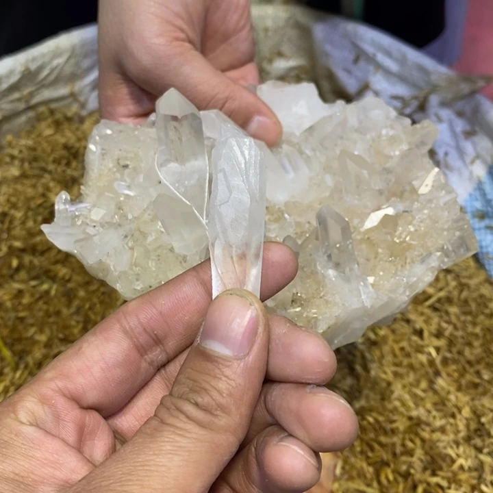 水晶水晶原石摆件未镶嵌飞***翅