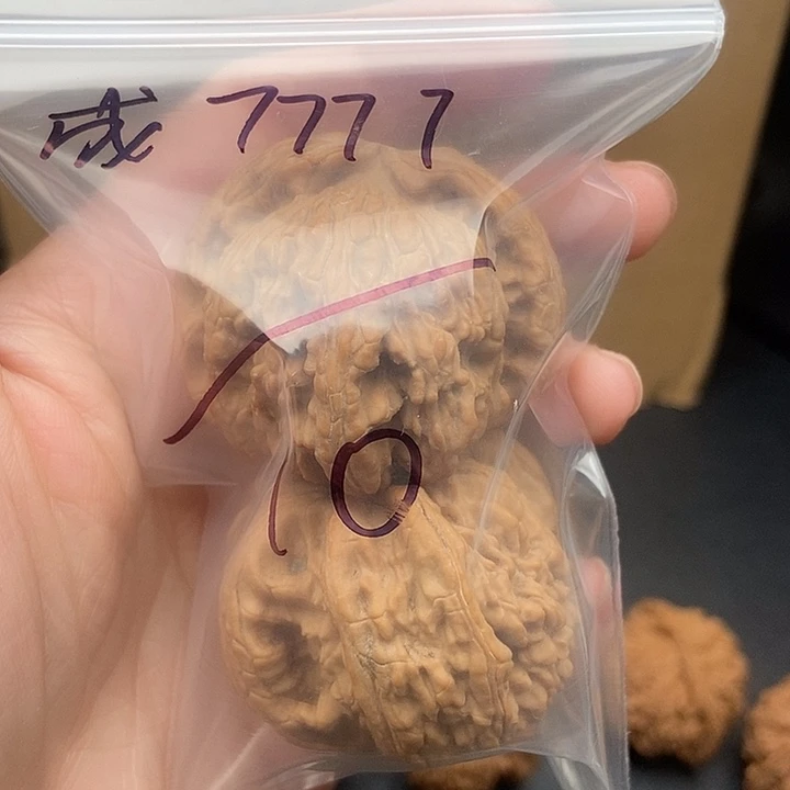 成***7大大大大大大白狮子有黄