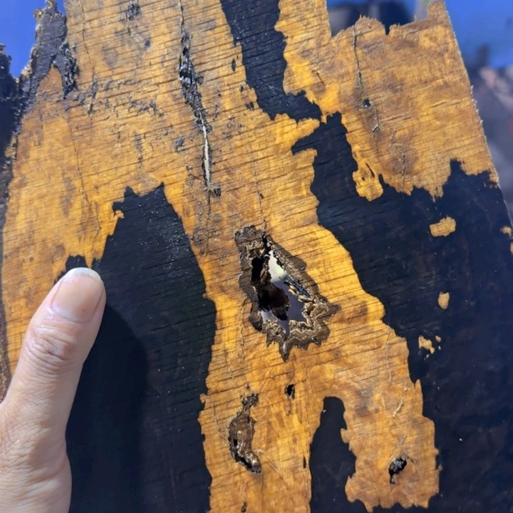 东非黑黄檀（紫光檀）546