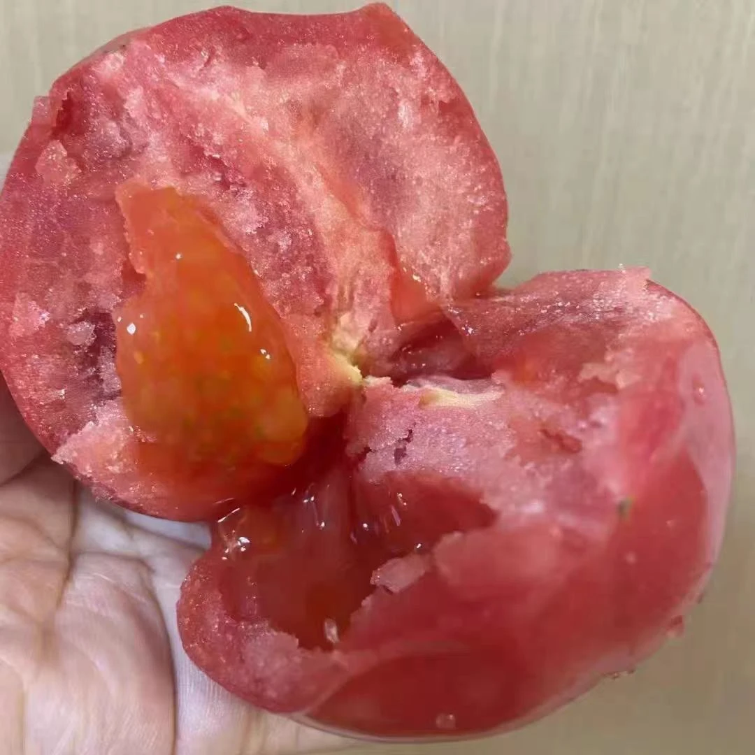 西红柿自然成熟沙瓤多汁可生吃番茄无科技放心吃甘肃武威沙漠水果
