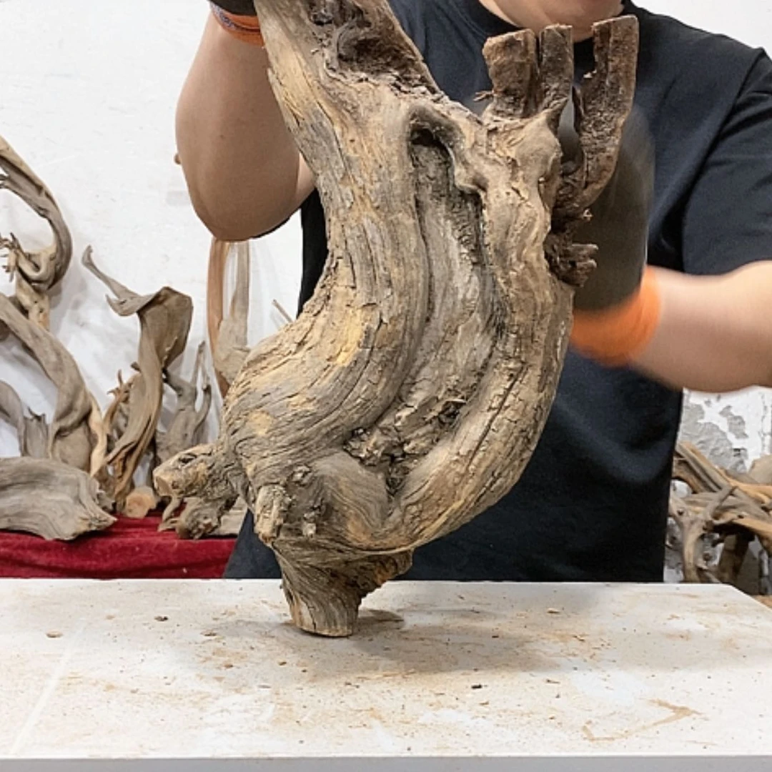 【闪购商品】柏木忆*我们都是好孩子