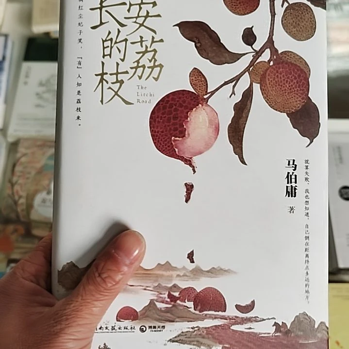 长安的荔枝长安的荔枝