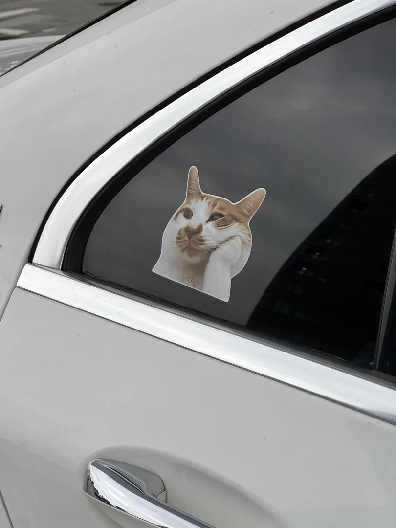 趣味贴纸猫咪狗子表情包汽车贴纸卡通个性车贴搞笑创意后窗玻璃贴