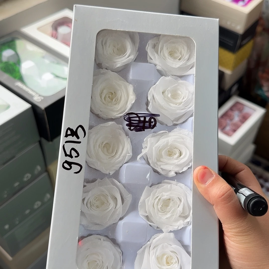 G51号白色10朵玫瑰