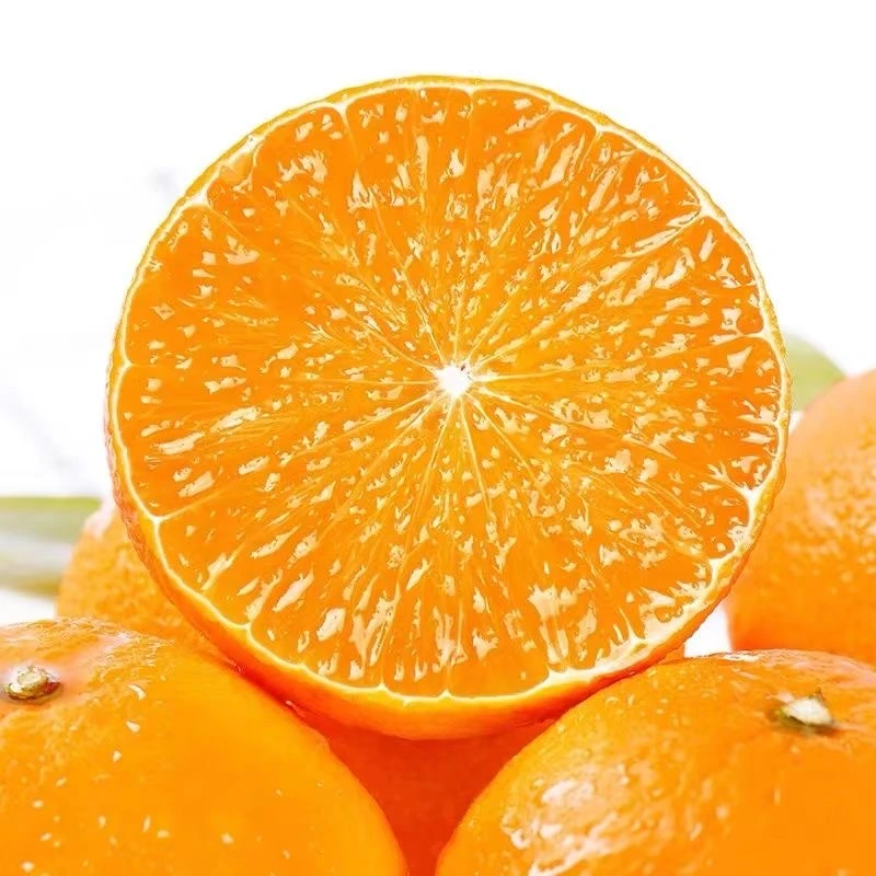 【爱媛果冻橙】新鲜现摘 老少皆宜 新鲜应季水果