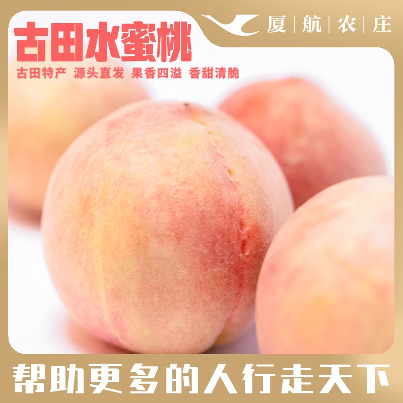 【厦航农庄专属】古田正宗水蜜桃  皮薄肉厚 鲜甜多汁