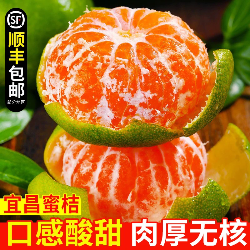 【顺丰包邮】宜昌青皮蜜桔酸甜爆汁易撕皮无籽柑橘子农家自种