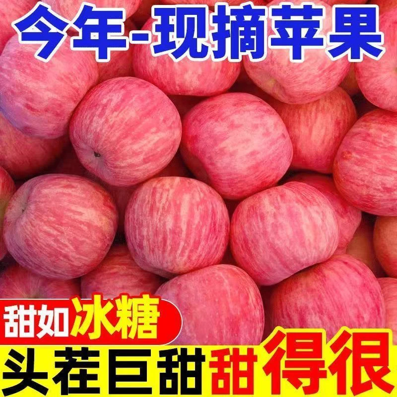 山东红富士苹果新鲜当季脆甜多汁水果