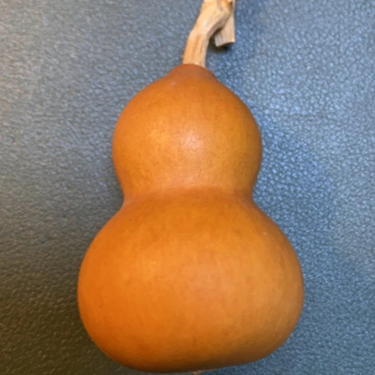 文玩葫芦直播间拍品链接。请勿私自下单！！