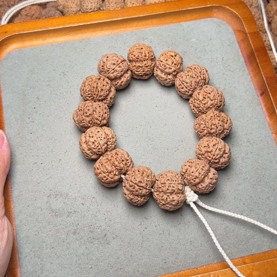 菩提10号金刚菩提深沟梅花23+