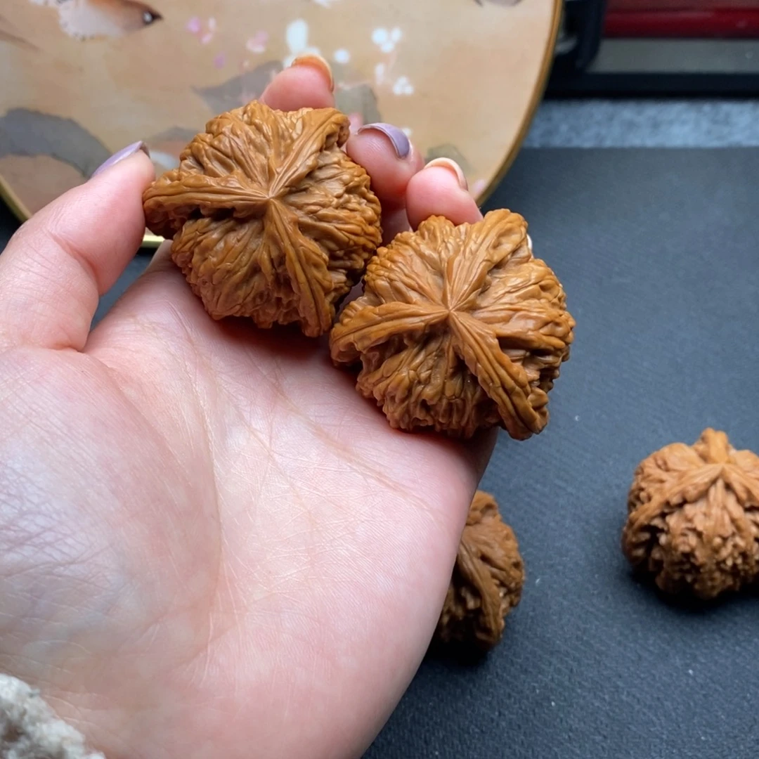 花*酒白狮子1111111111