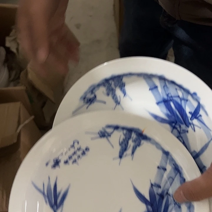 陶其它陶瓷两大8寸饭盘