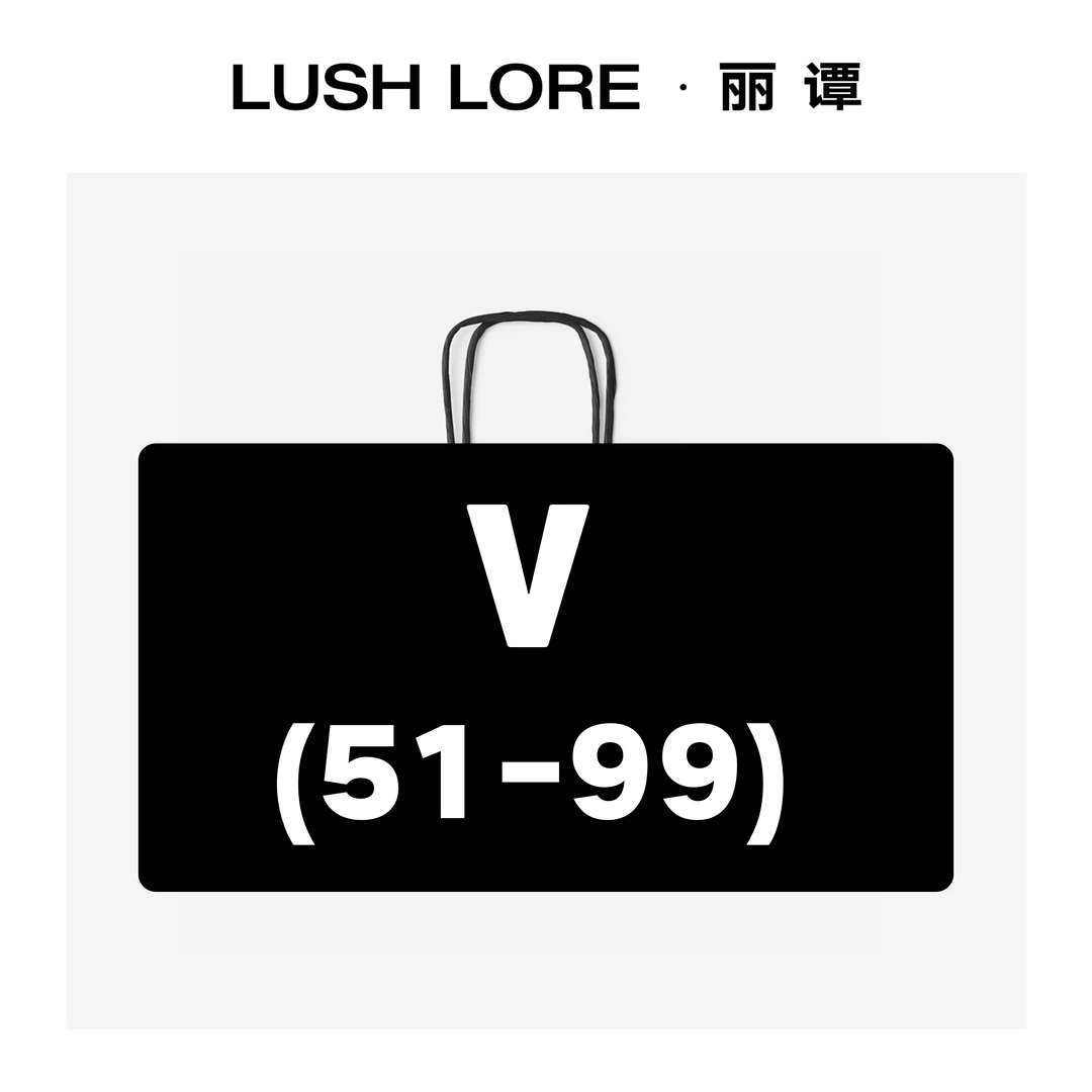 V编码【微瑕51-99】丽谭·真皮系列定制女包休闲包包女款