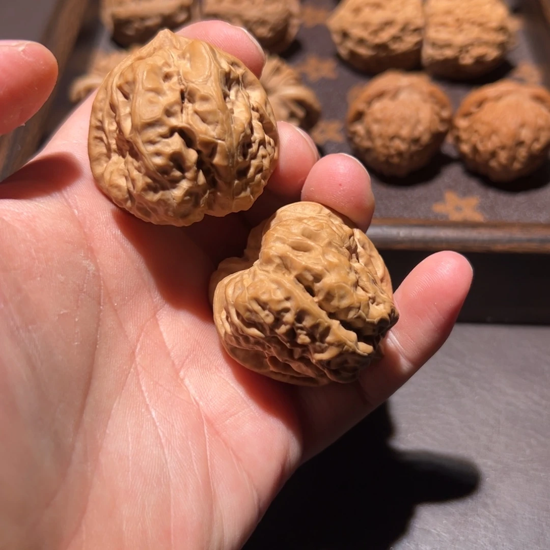 核桃41全品蛤蟆头