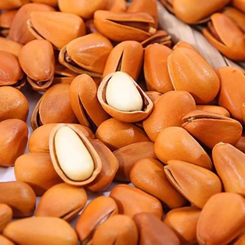 [辉哥专属]东北松子 大颗粒