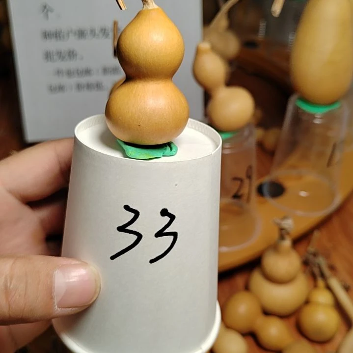33号自助下单了吗？？？？？