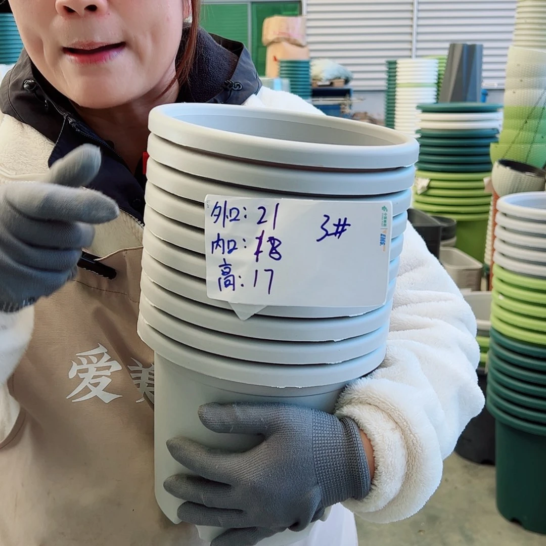 四季盆3#灰白色10个无托