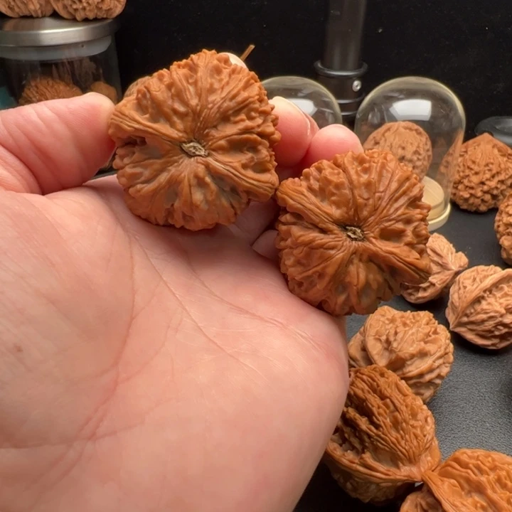把件文玩核桃你**你42全品对歪水龙