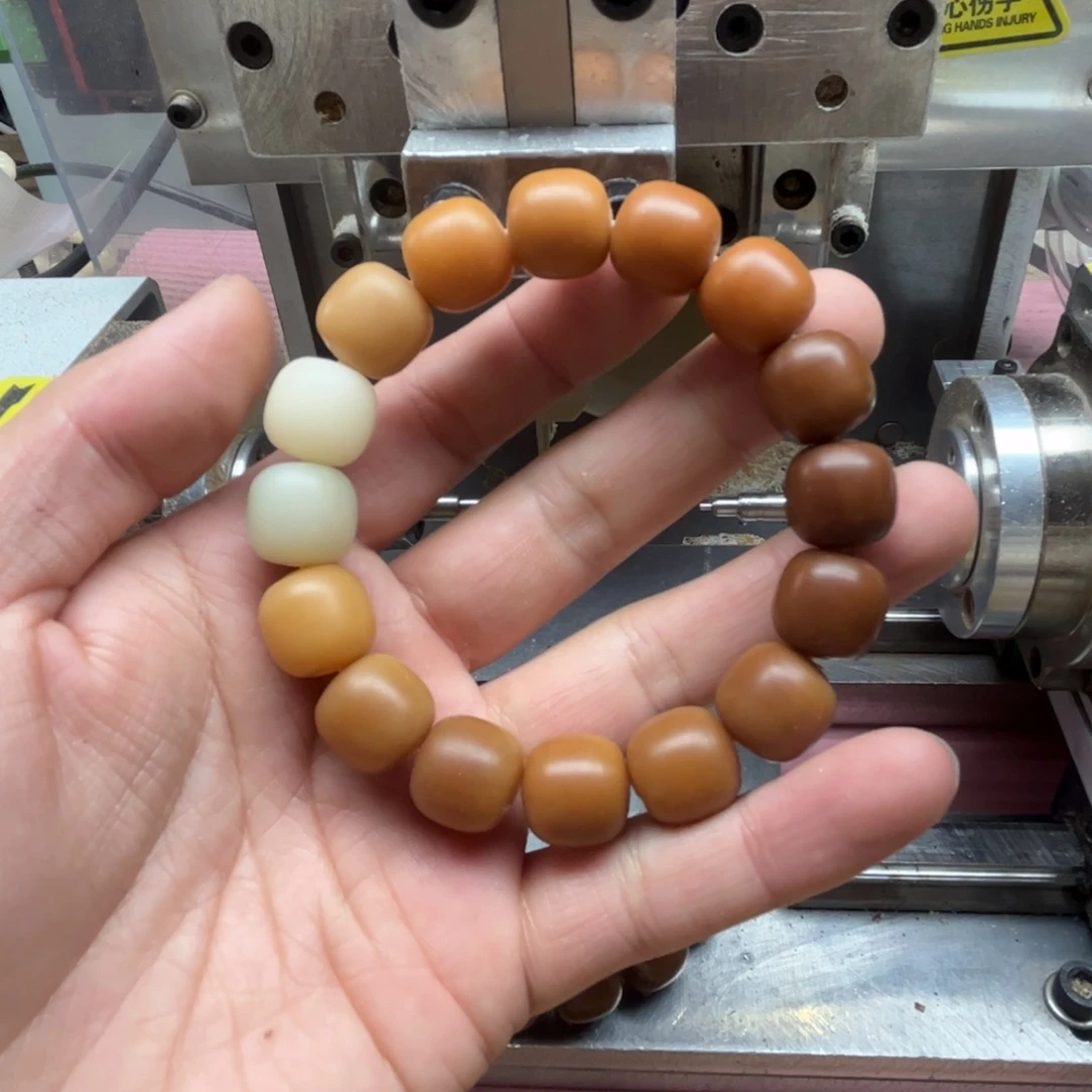 手串菩提根/象牙果