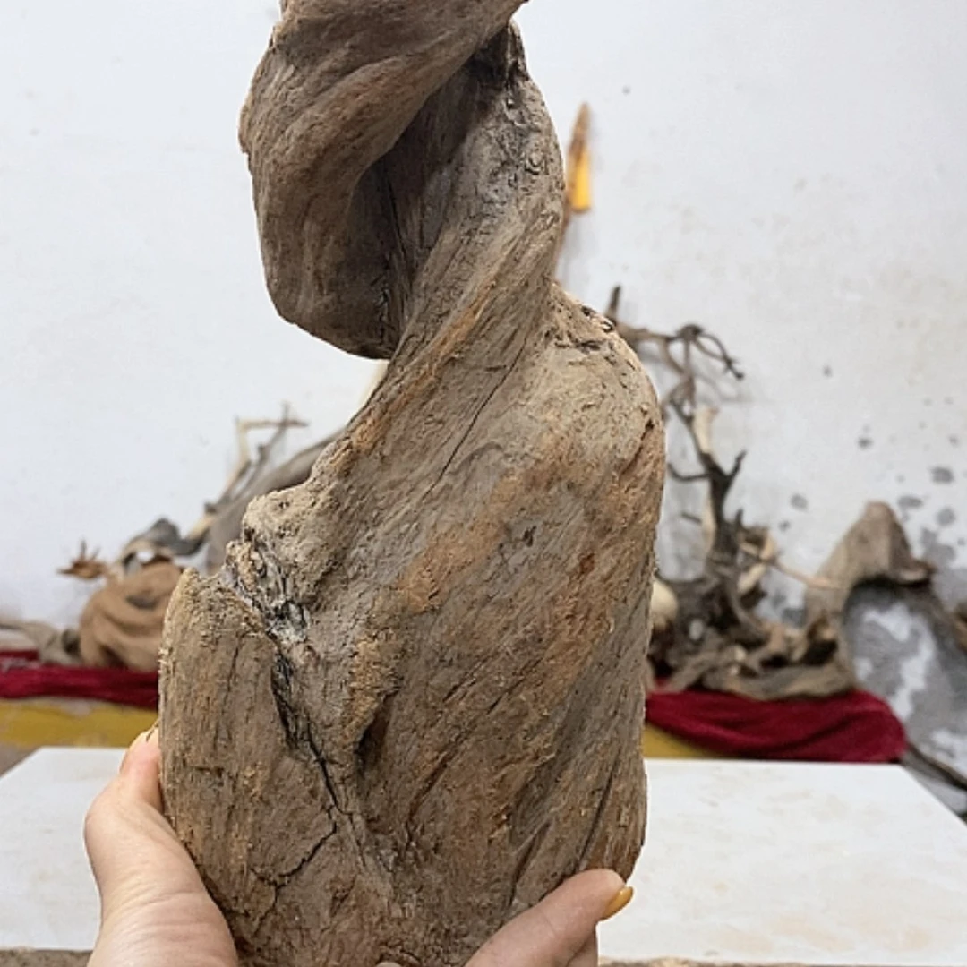 【闪购商品】柏木背**?我们都是好孩子