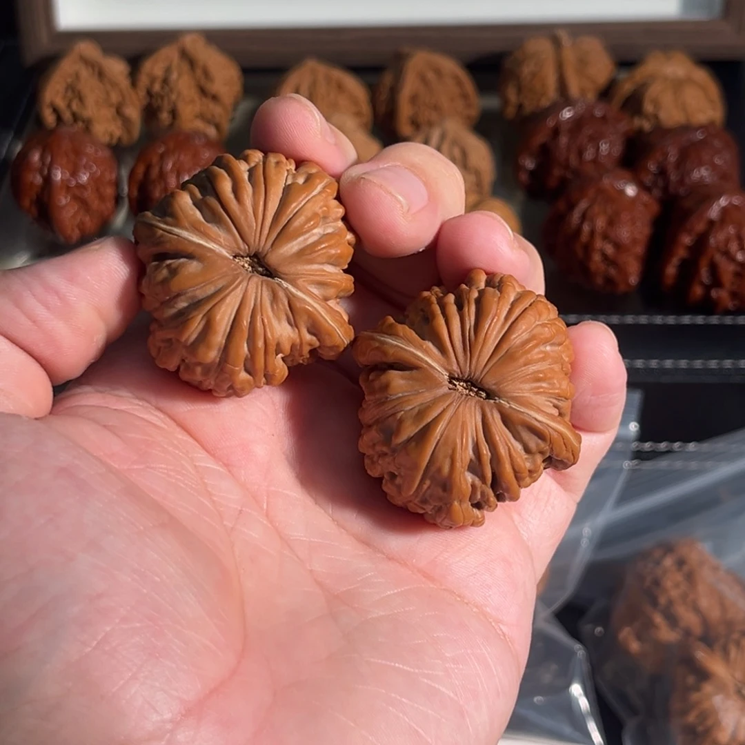 核桃手串/手链微*41爆肉汉高楼