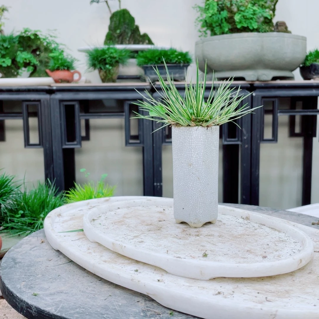 无铅玻璃、****沵铁线蕨铁线蕨铁线蕨