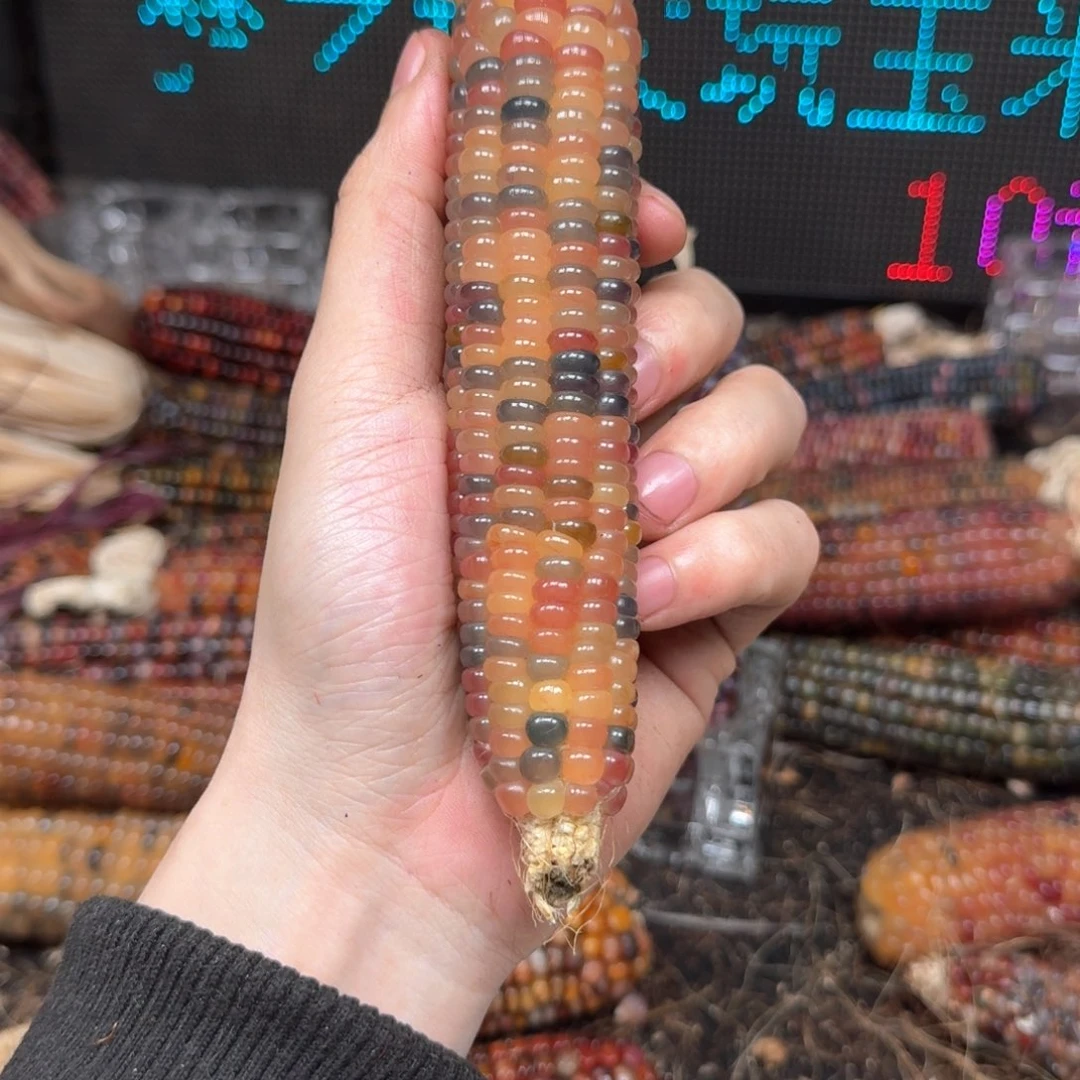 柏香籽/百香籽吊坠蓝*海