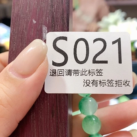 大叶紫檀（黑酸枝木类）21