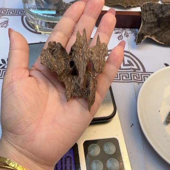 沉香摆件海南尖峰岭沉水虫漏4.8克