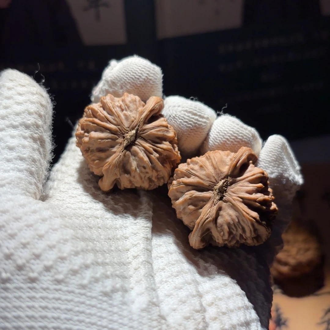 文玩核桃吊坠h*o39白狮子